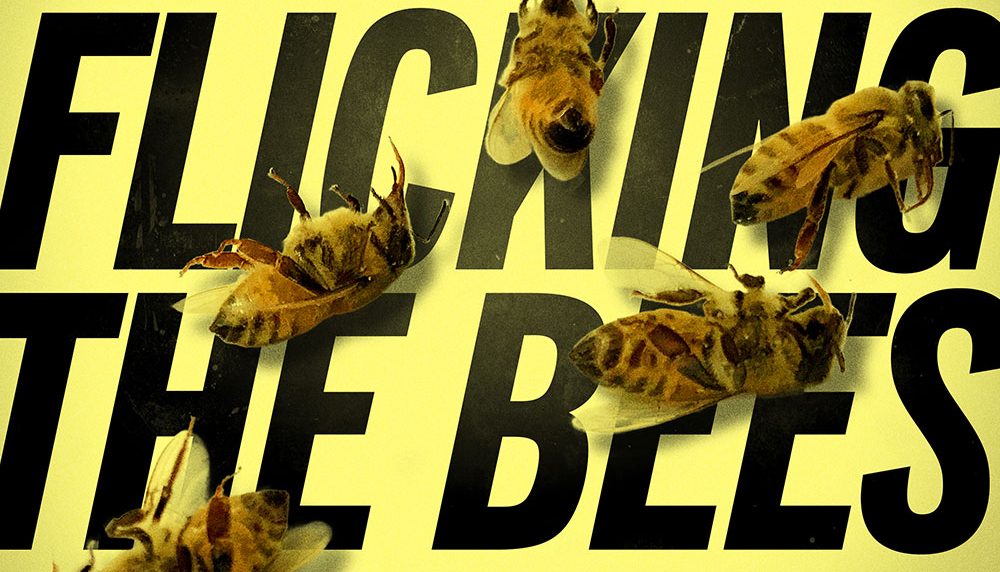 Electric High – Flicking The&nbsp;Bees