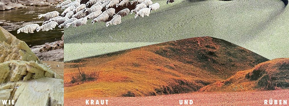 No Metal In This Battle Released “Wie Kraut Und Ruben”