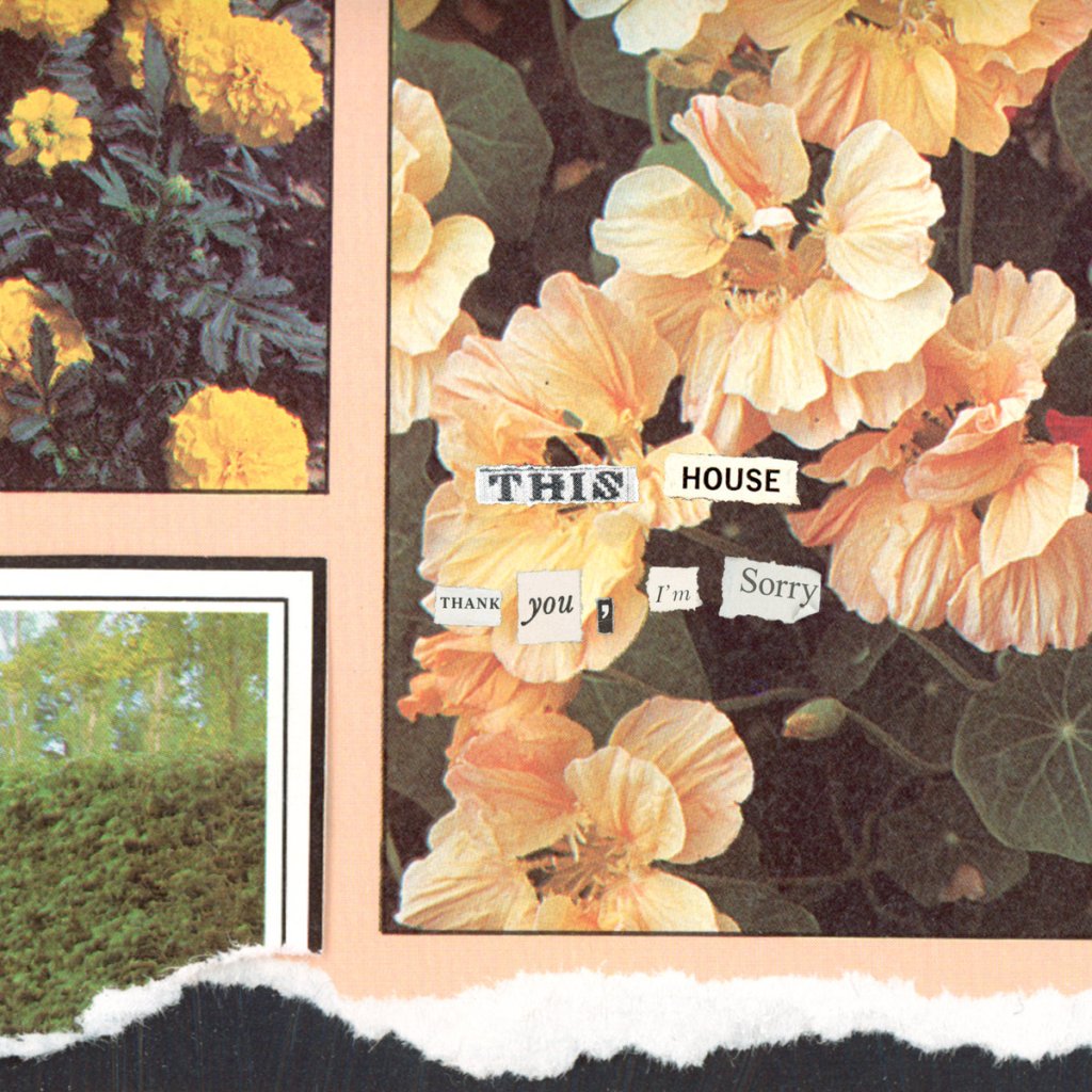 Thank You, I'm Sorry - This House