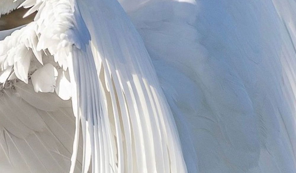 Claire Bigley - Immersion