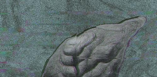 Plantoid - Dog's Life