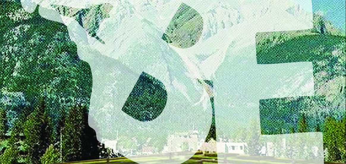 Bald Eagle - Clean Living LP - Expert Work Records