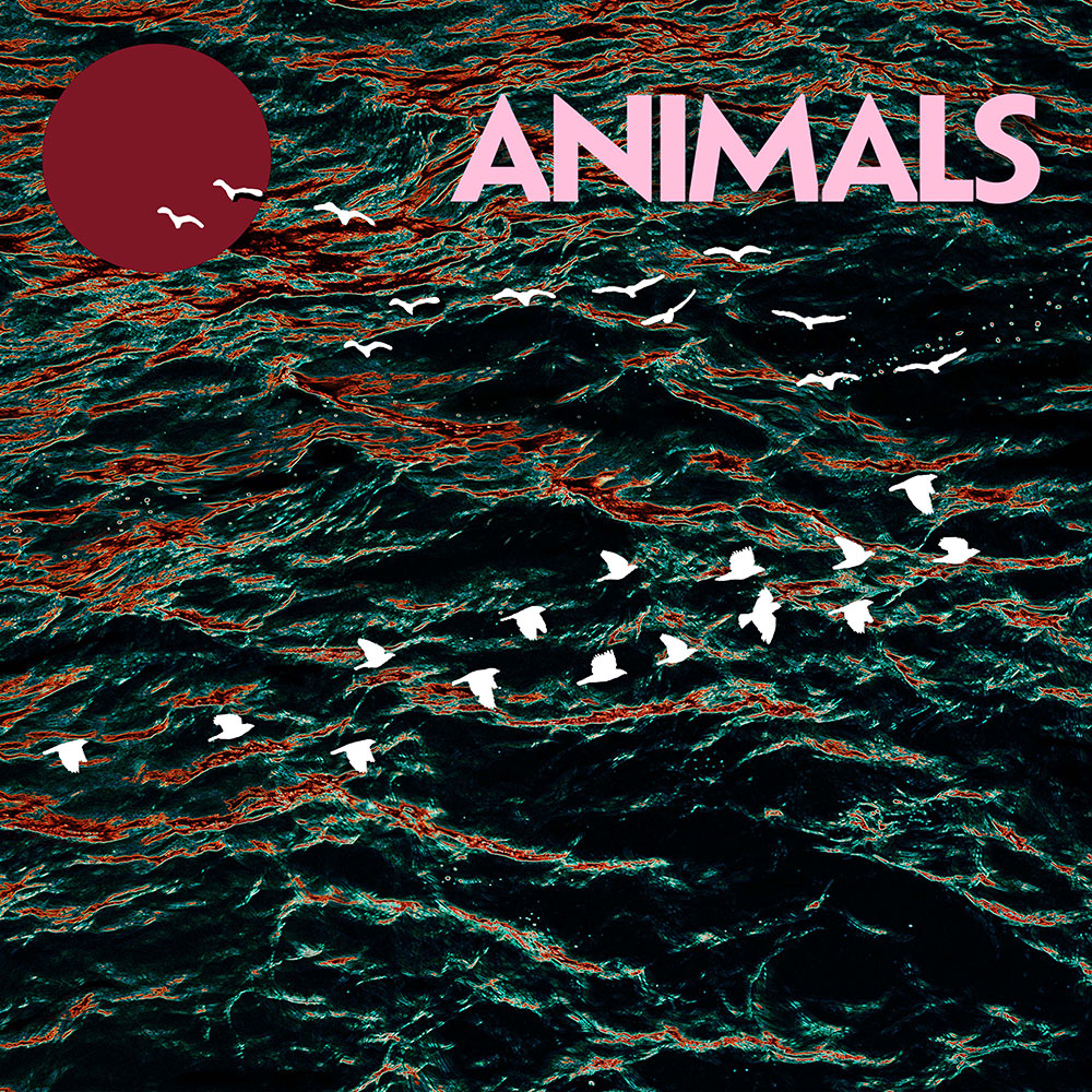 Midnight Shoppers - Animals