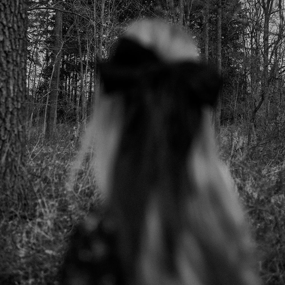 Melanie Pierce - fool