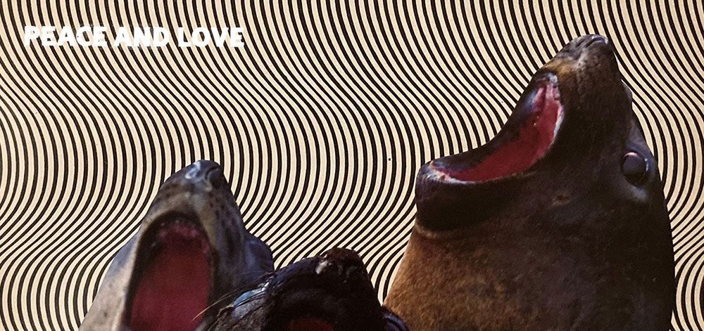 Eaten By Snakes – Peace And Love LP (Not Sorry&nbsp;Records)