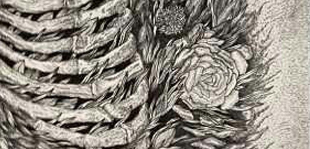 Coward – Coward&nbsp;LP