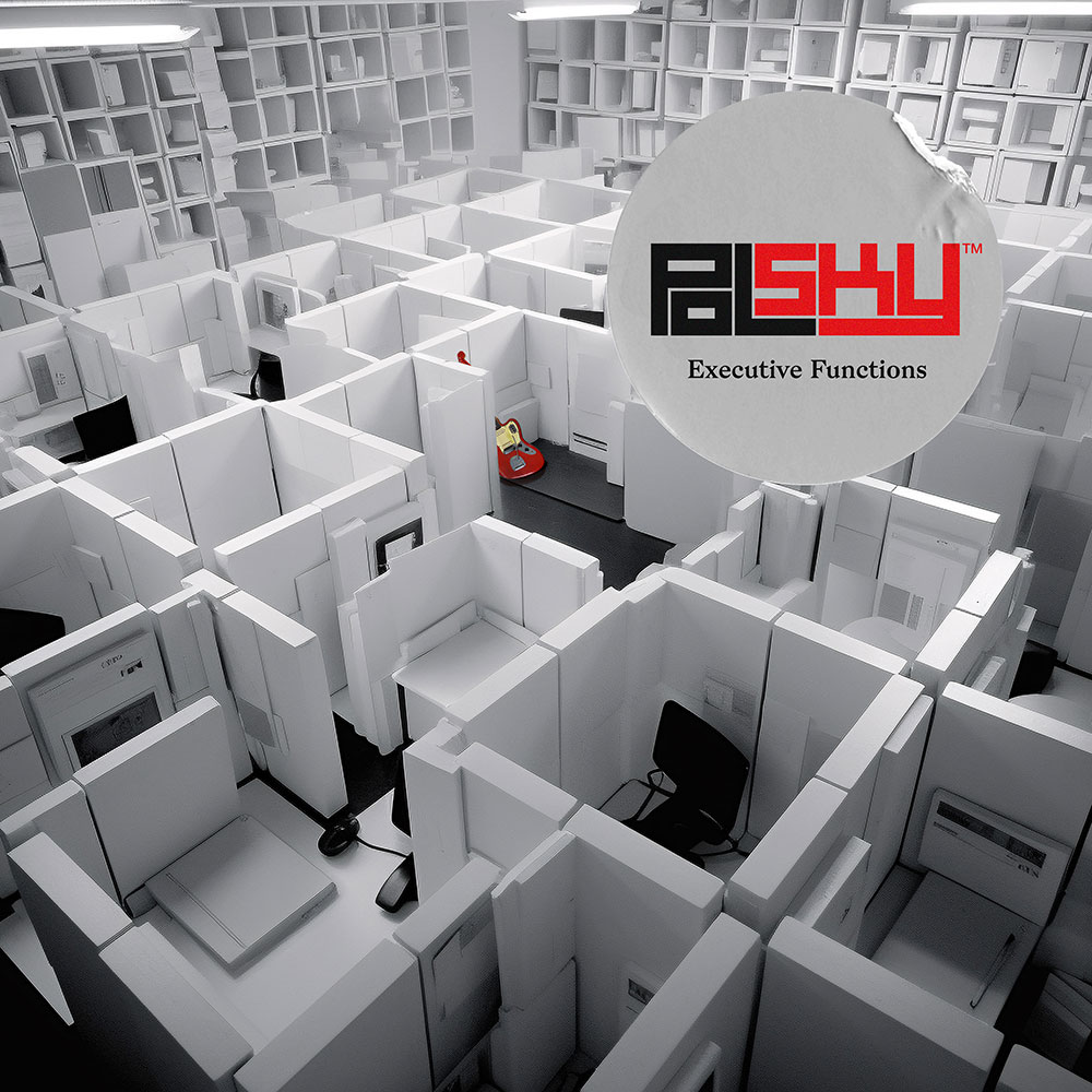 PolSky - Executive Functions