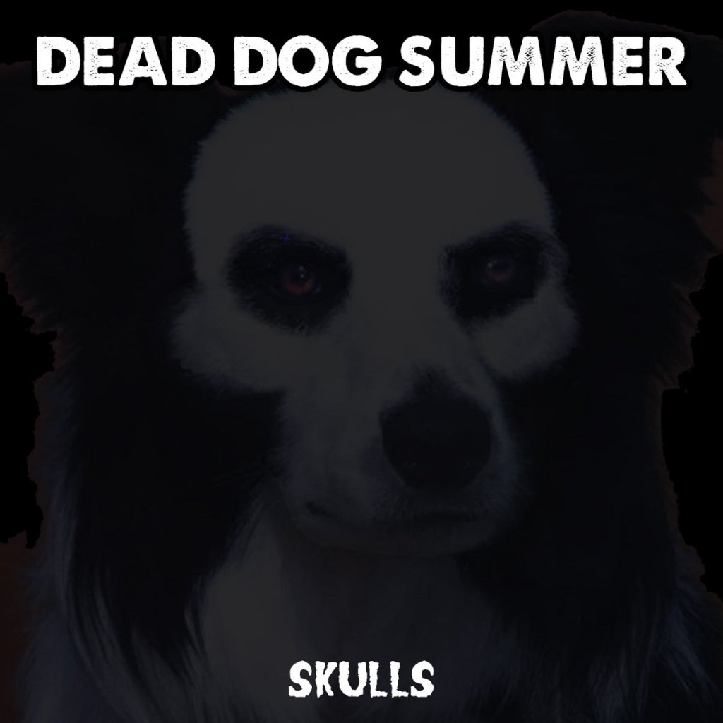 Dead Dog Summer - Skulls (Misfits Cover)