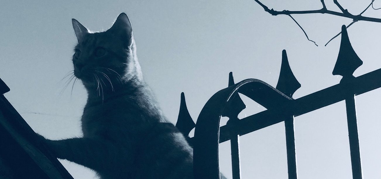 Tom Minor - It's Easy To Play Hearts