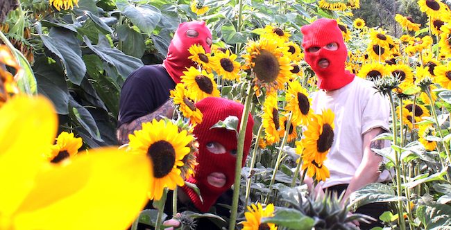 Phuture Memoriez Released New LP “Play&nbsp;Cobra”