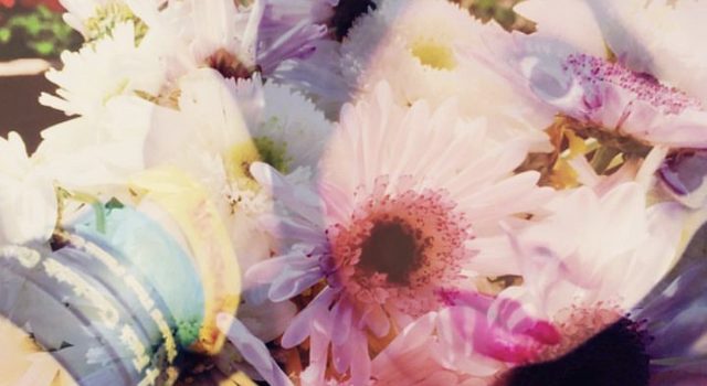 The Veldt - Illuminated 1989