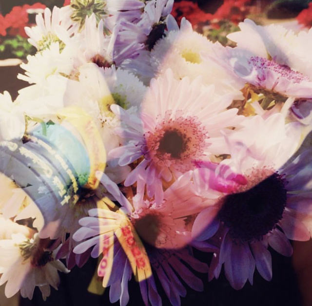 The Veldt - Illuminated 1989