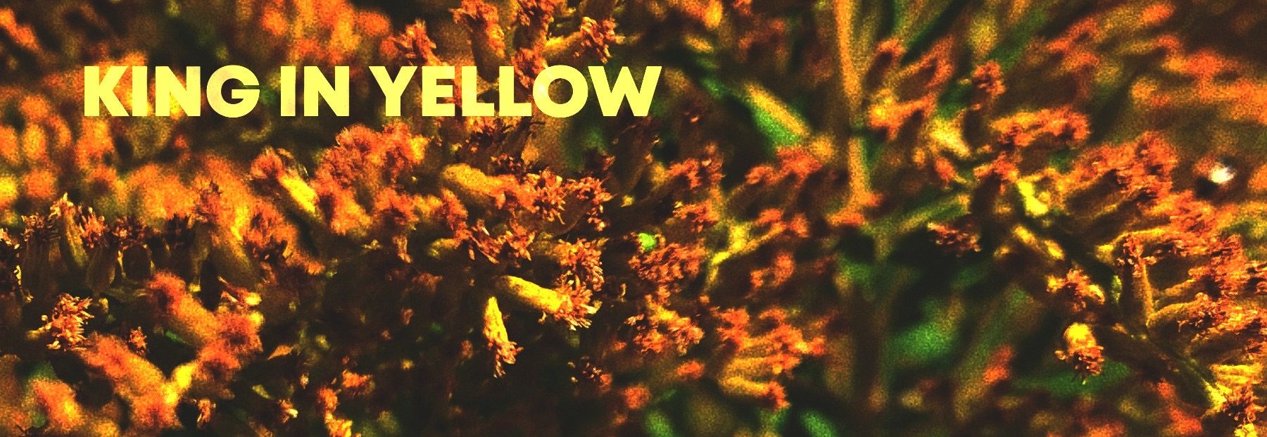 King In Yellow - Spirit Shift