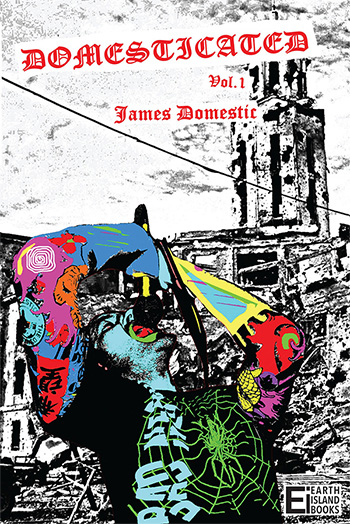 Domesticated Vol. 1 by James Domestic