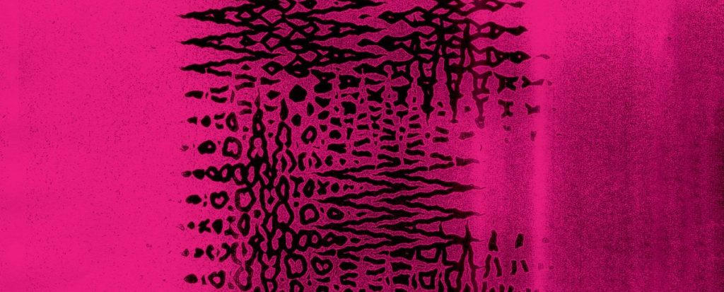 ### – Nasilno LP (PDV Records)