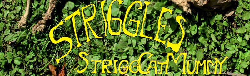 The Striggles - StriggCatMummy - Noise Appeal Records