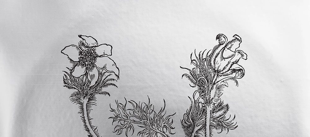 Cheval De Frise – Fresques sur les parois secrètes du crâne LP (Computer&nbsp;Students)