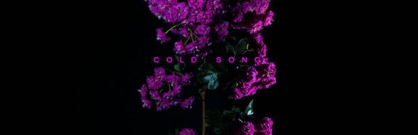 The Striggles - Cold Song EP 10" - Noise Appeal Records