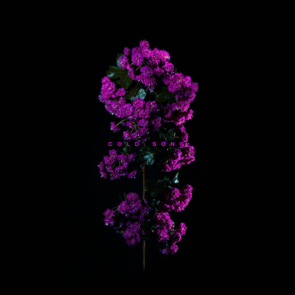 The Striggles - Cold Song EP 10" - Noise Appeal Records