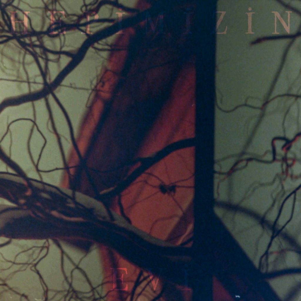 Pembe - Hepimizin Evi LP - Nasty Cut Records