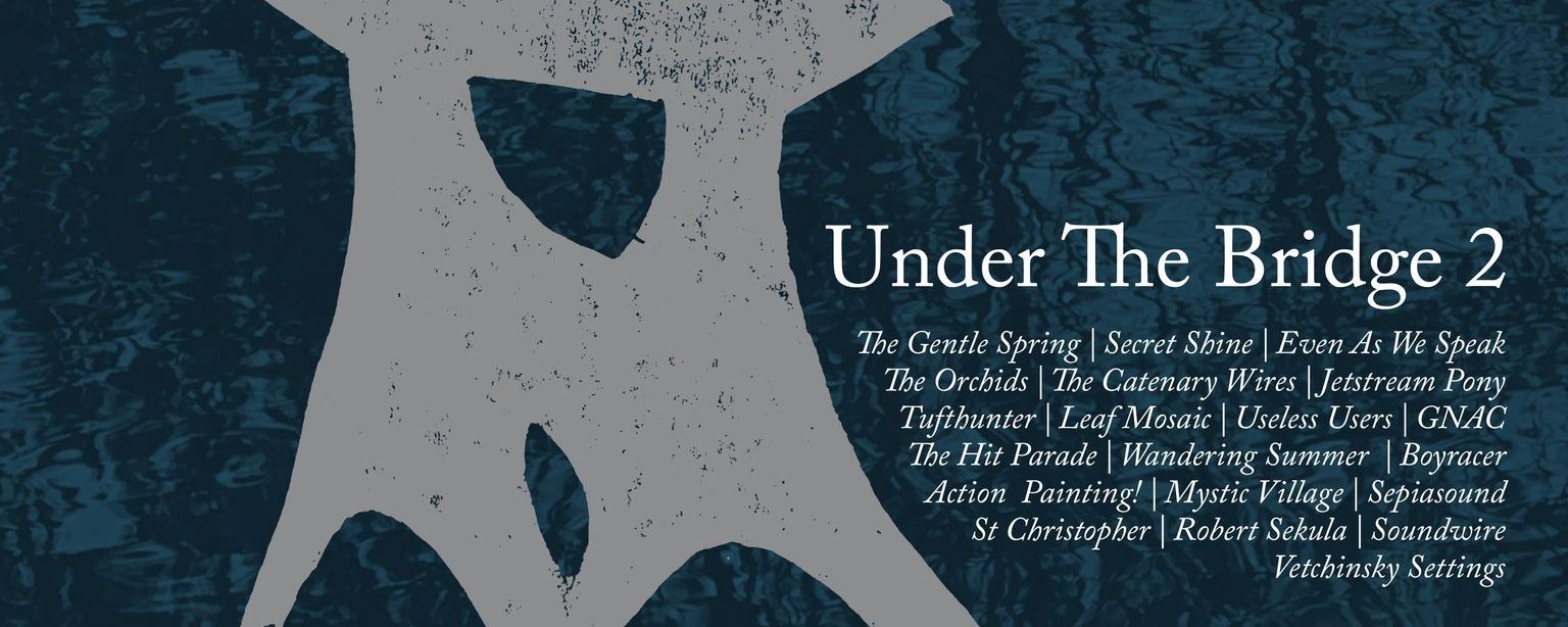 Under The Bridge 2: Sarah Records Bands Reunited