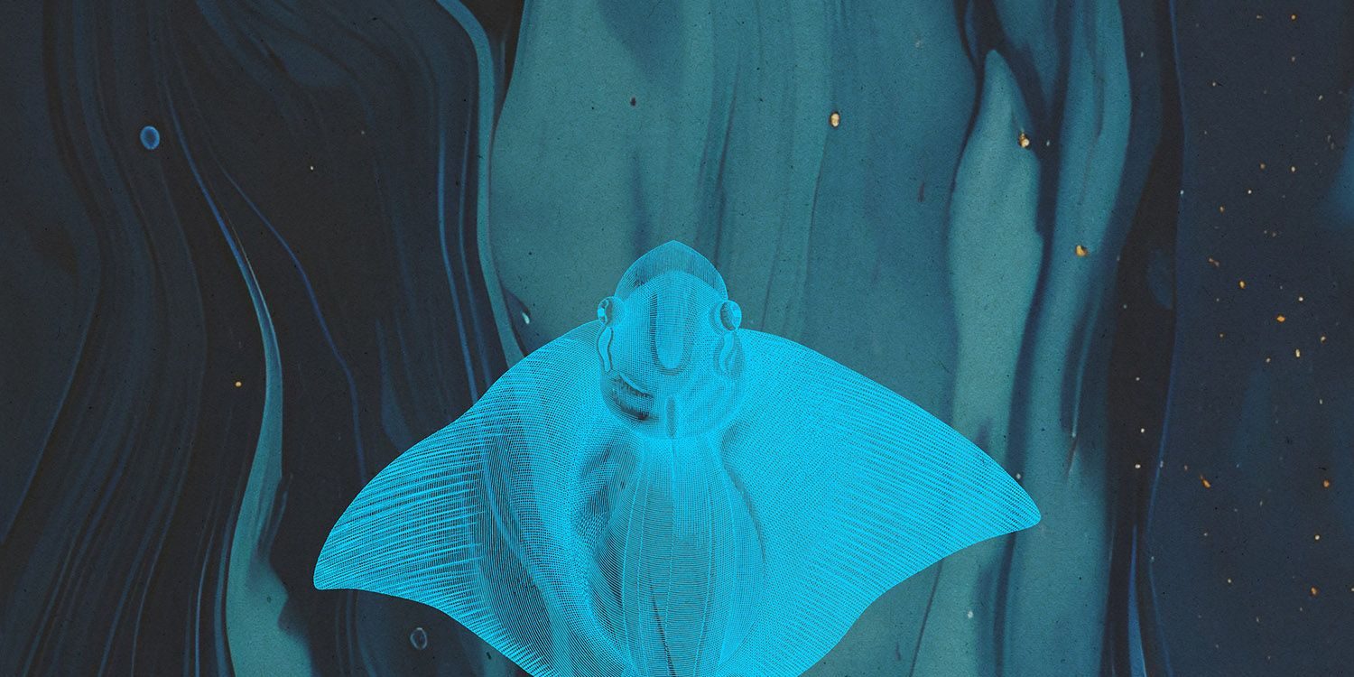 Midas Fall - Monsters