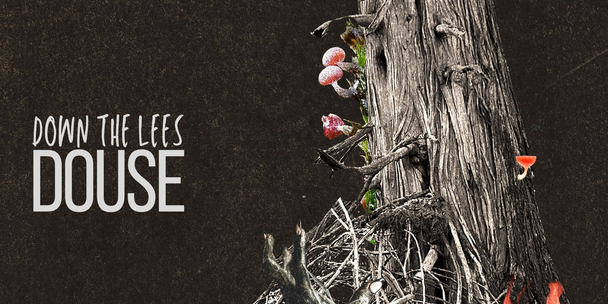 Down The Lees - Douse