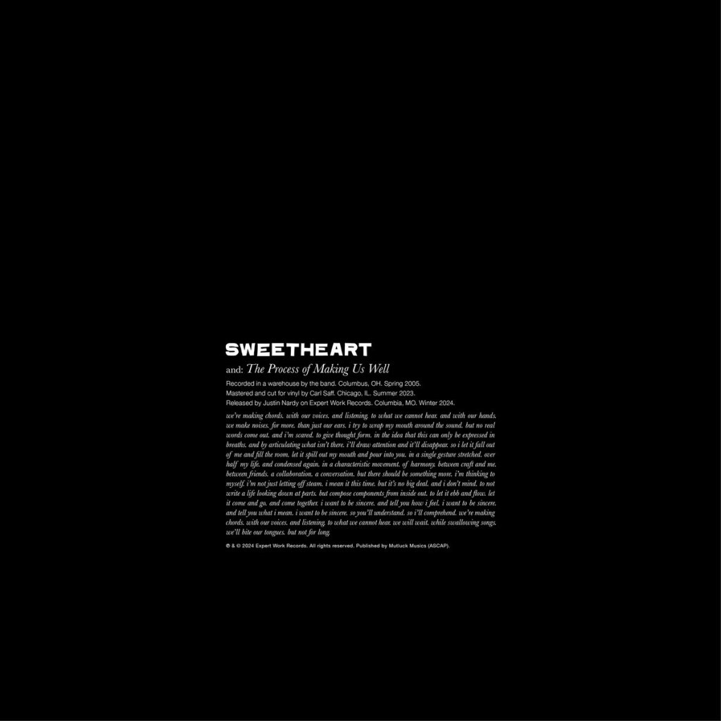 Sweetheart - The Process Of Making Us Well 12" EP - Expert Work Records