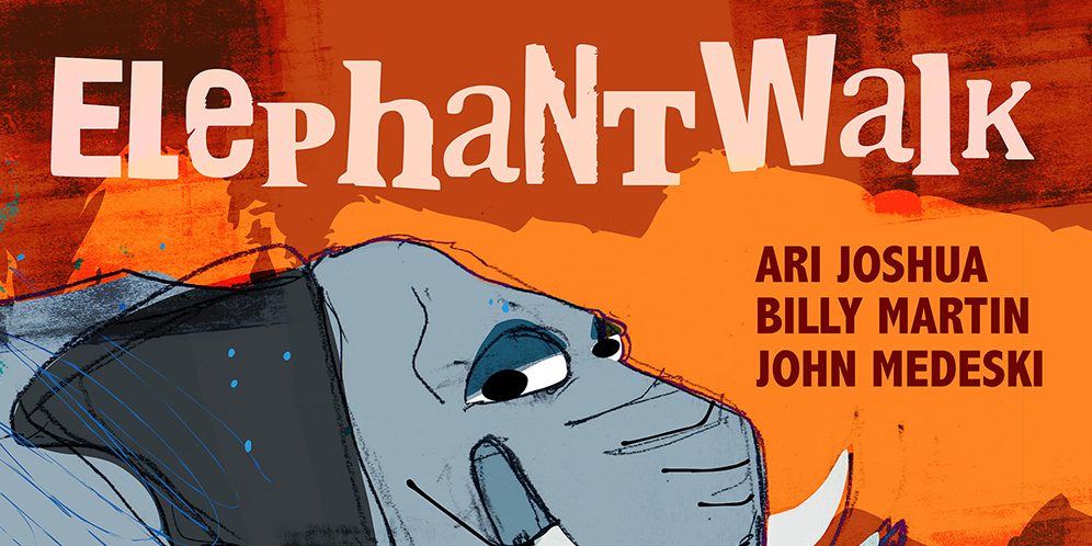 Ari Joshua / John Medeski / Billy Martin - Elephant Walk