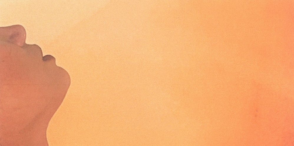 Trash Pals – Perfect&nbsp;Dream