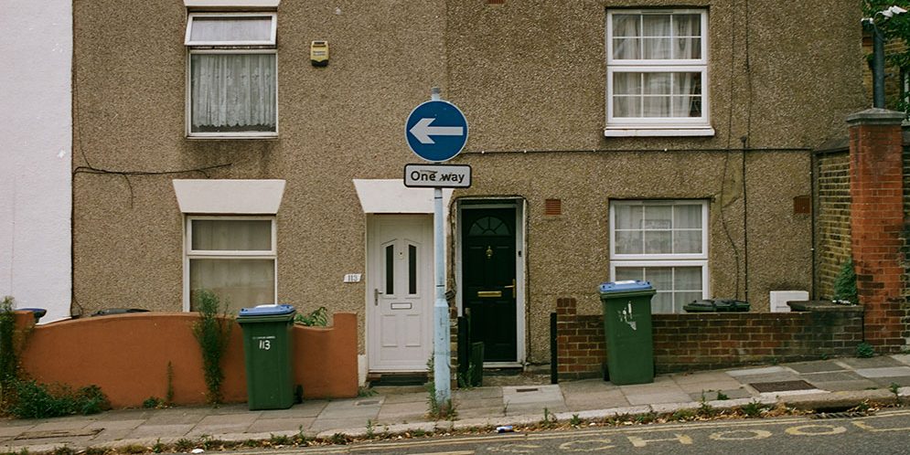 Dog Park - Consistent Effort