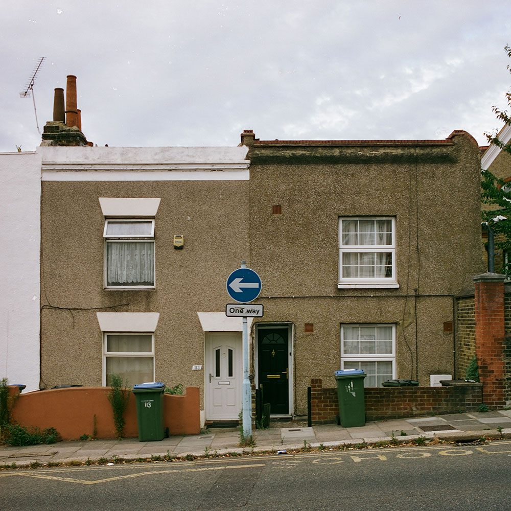 Dog Park - Consistent Effort