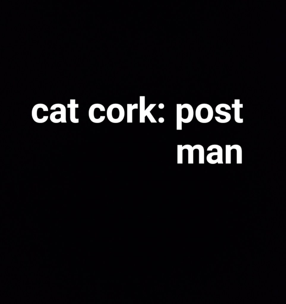 Cat Cork - Post Man