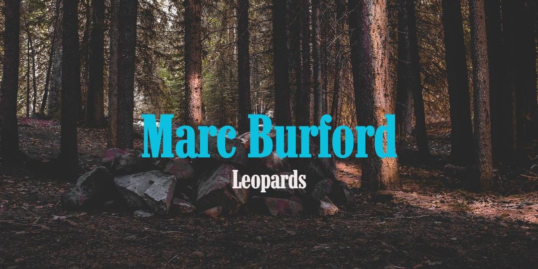 Marc Burford - Leopards