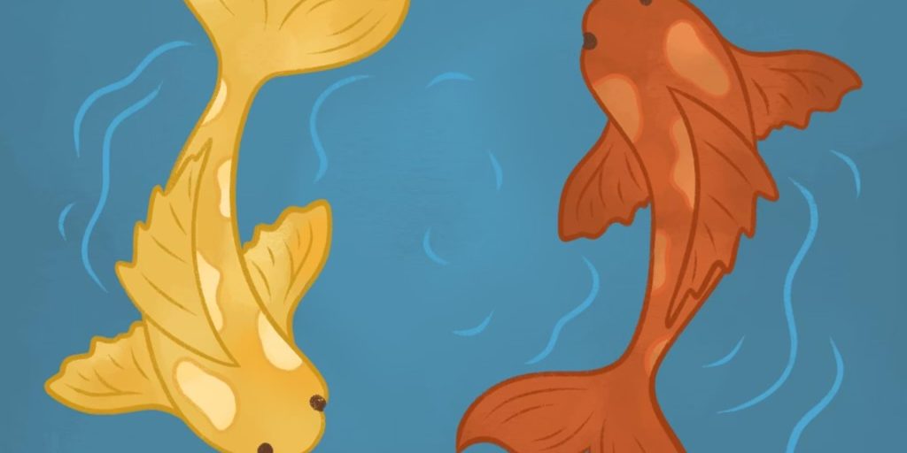 Maya Salafia – Swim