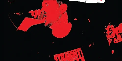 "Domesticated Vol. 2" by James Domestic (Earth Island Books)