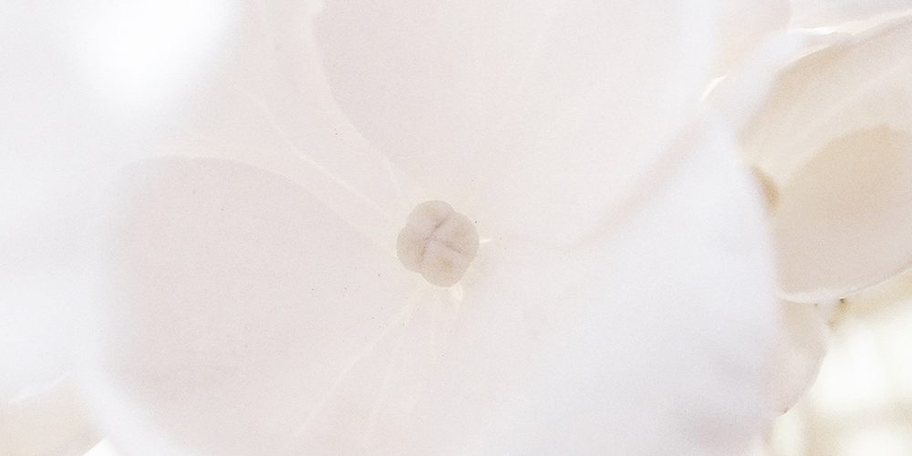 Moon Cowboy – Baby Jane