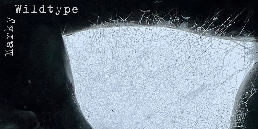 Marky Wildtype – The Hole