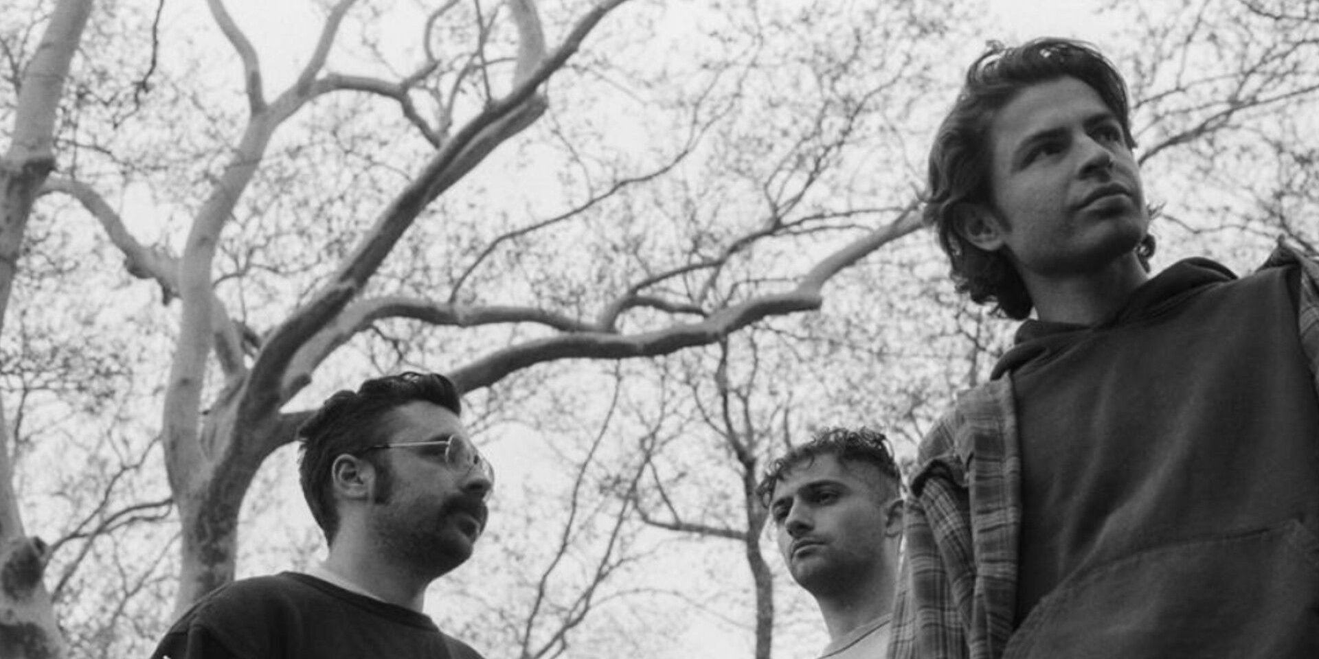 Horse Jumper Of Love