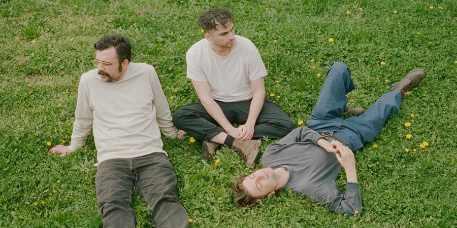 Horse Jumper Of Love