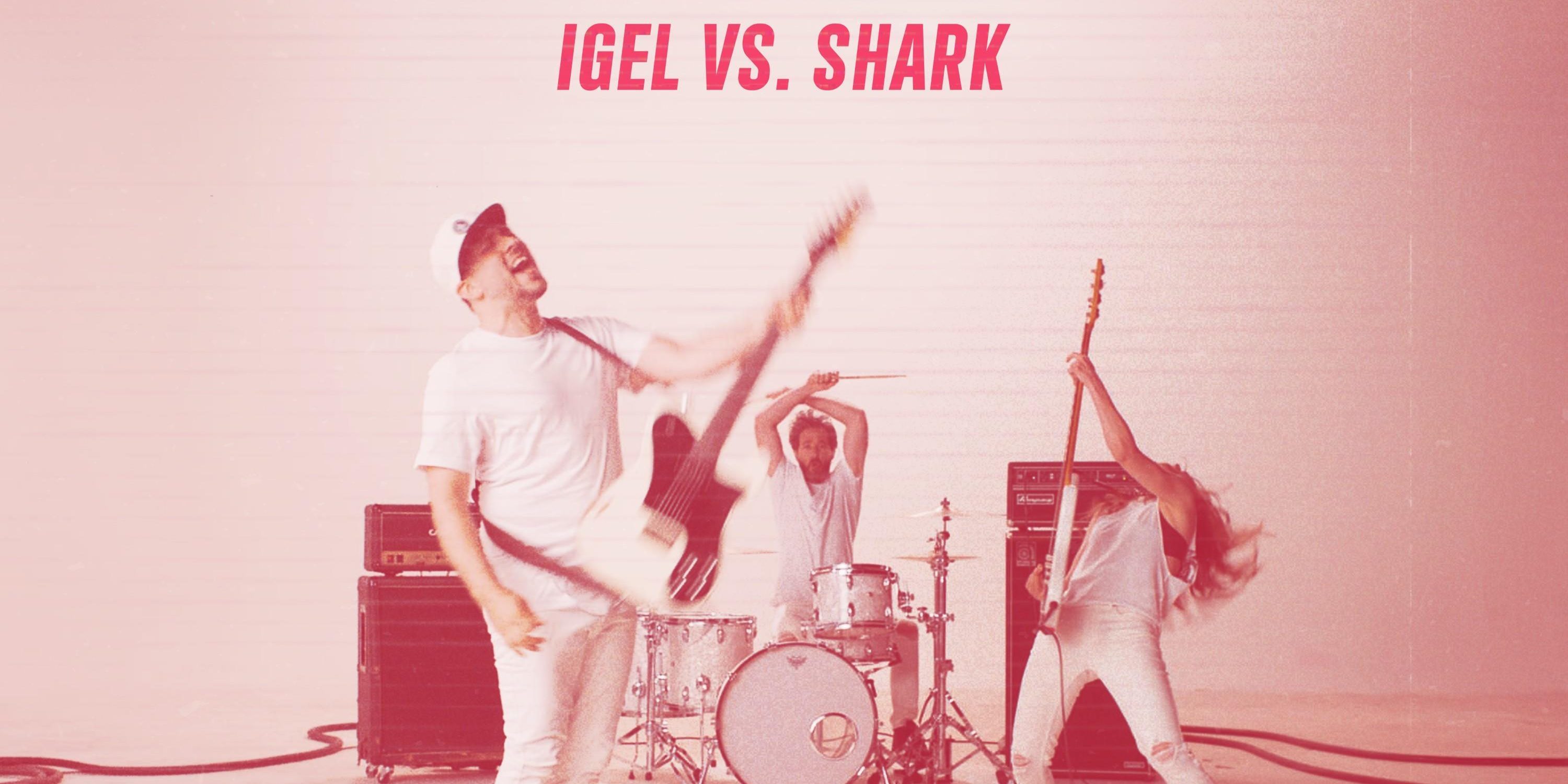Igel vs. Shark - White Noise