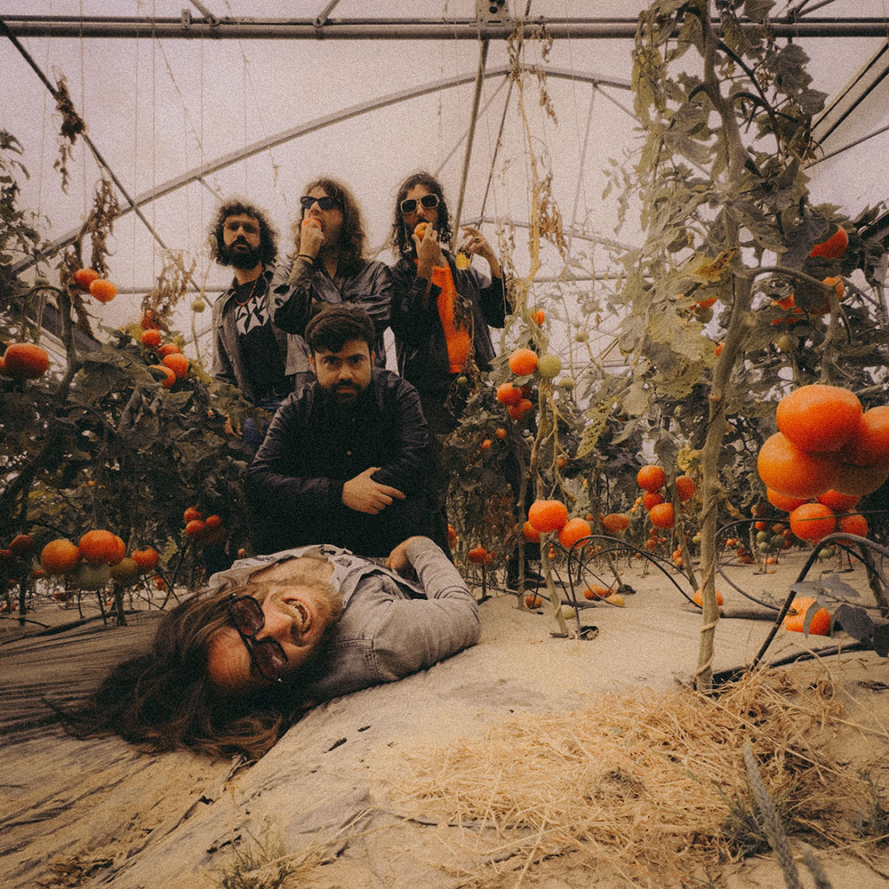 Big Mountain Country