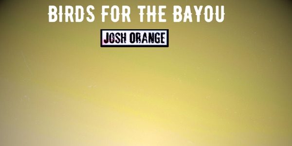 Josh Orange - Birds For The Bayou