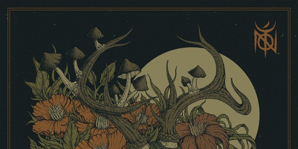 TOŃ – Korzenie CD