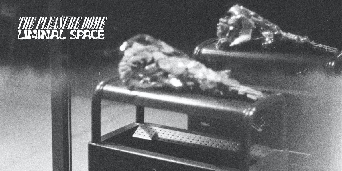 The Pleasure Dome - Liminal Space 12" EP - Hound Gawd! Records