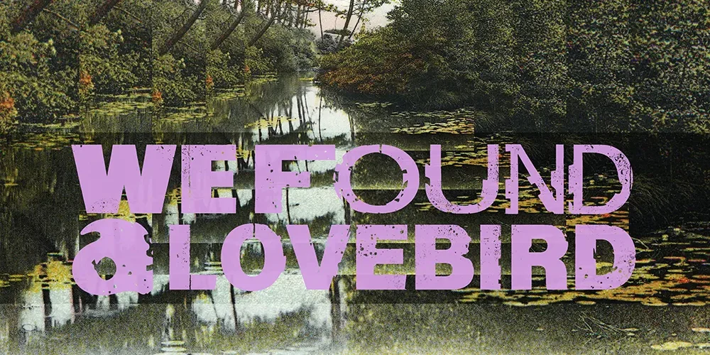 We Found A Lovebird - Signal Hill