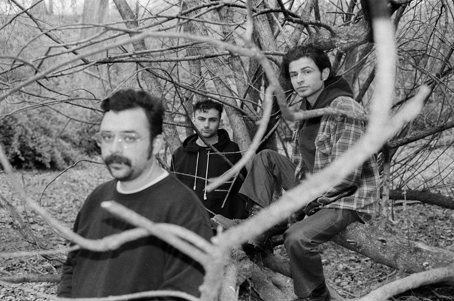 Horse Jumper Of Love 