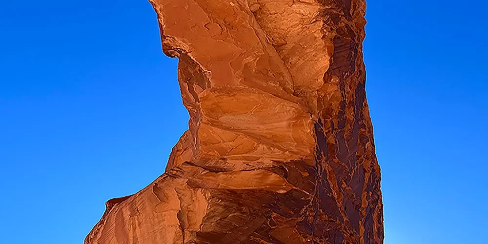 Canning - State Of Mind