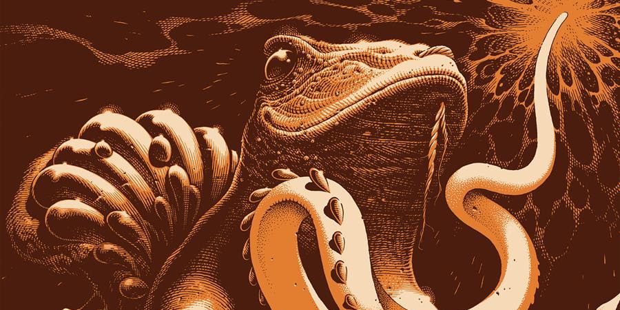 Boris - Amplifier Worship