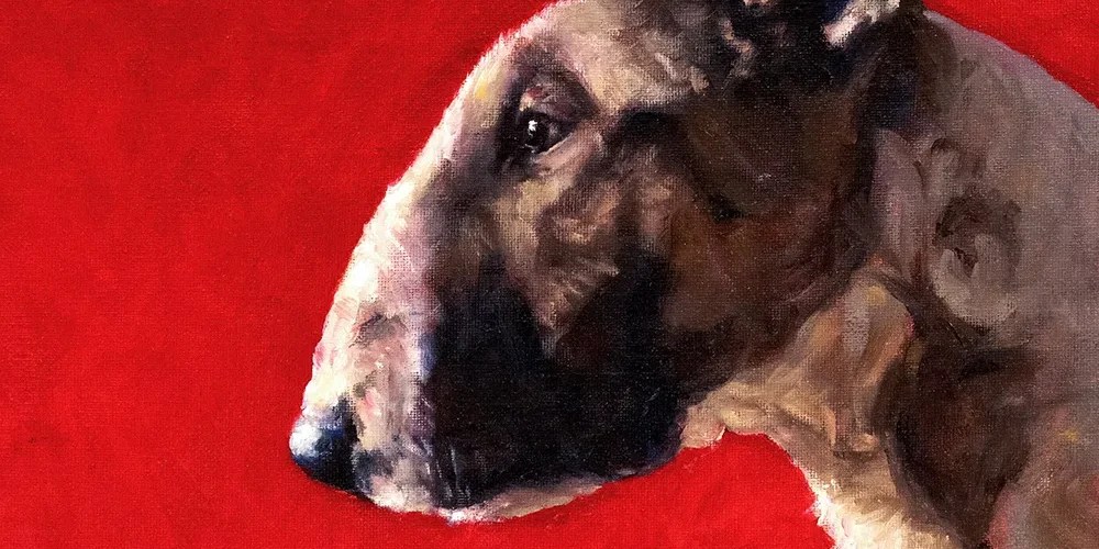 Ollie Cook – Dog & Gun